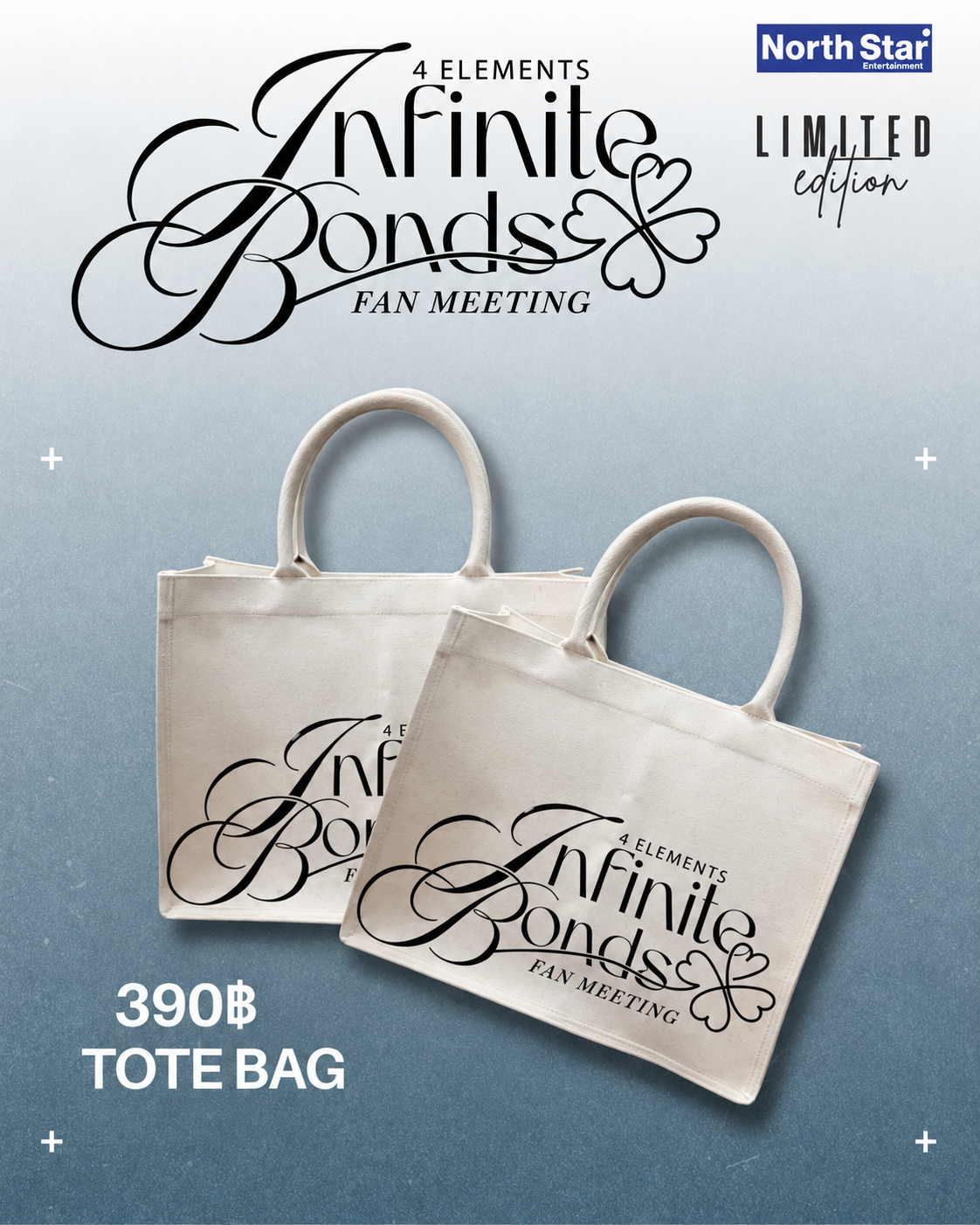 PRE-VENTA - 4 ELEMENTS INFINITE BONDS - TOTE BAG